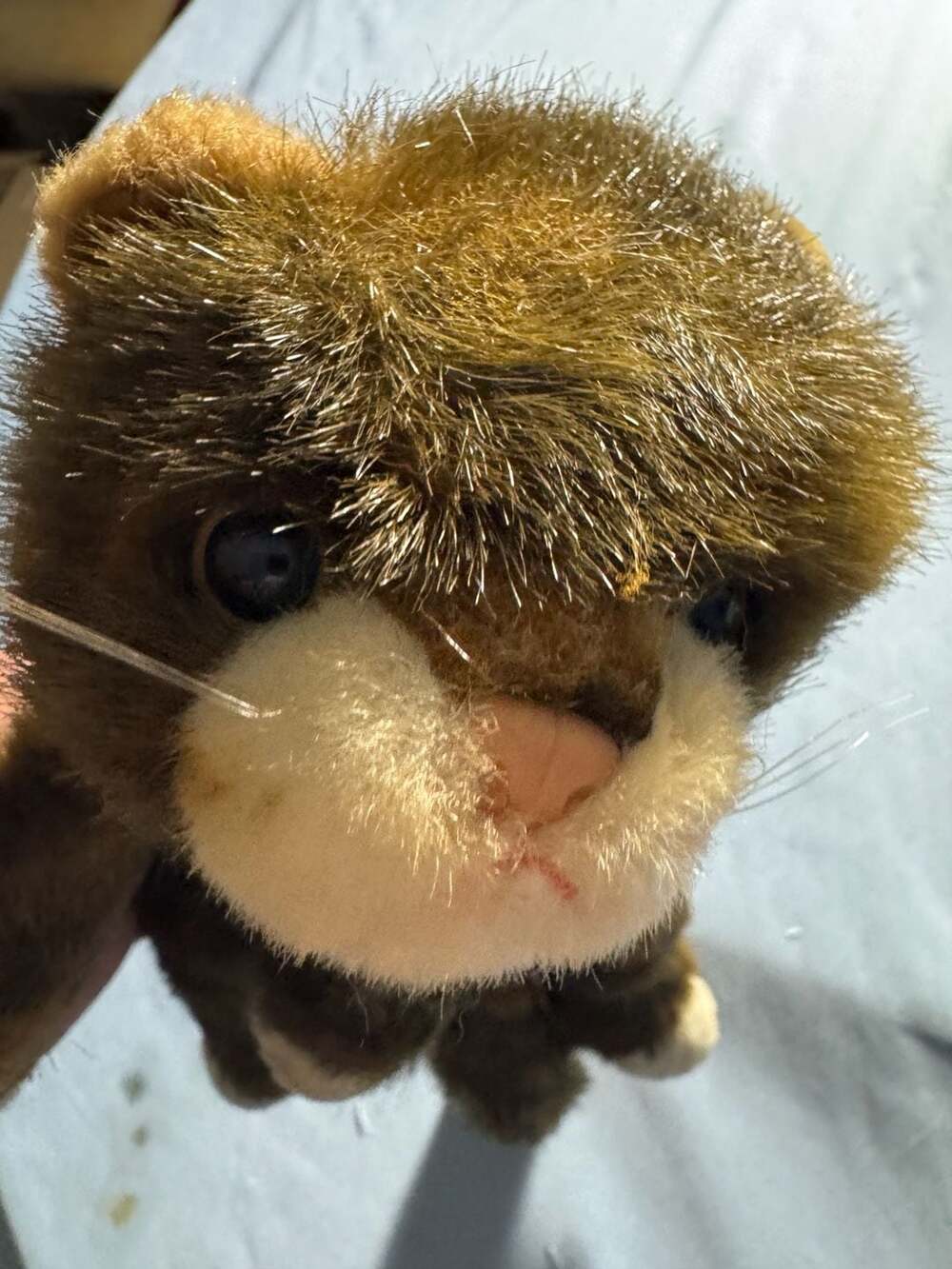 Ty Classic Pluffies Scamp Cat Plush Stuffed Animal